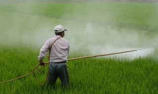 ОЛАФ участвала в задържането на 11 тона забранени пестициди у нас