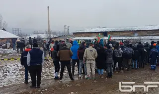 Подкрепа за фермерите, чиито стада бяха диагностицирани с чума