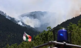 Пожар гори в района на връх Синаница в Пирин