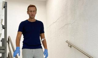 Путин казал, че Навални може да се е отровил сам с „Новичок”