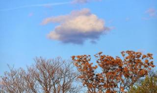 Ще вали и днес, ето кога започва затоплянето