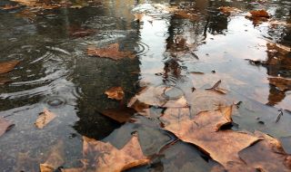 Дъждовна събота