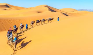 Кой живее в пустинята Сахара?