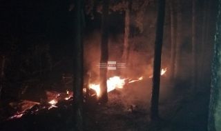 Пожар гори в казанлъшкия парк "Тюлбе"