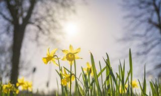 Времето днес, прогноза за петък, 12 май: Валежите спират, облачността се разкъсва и намалява