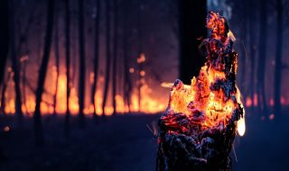 Заплахата от горски пожари намалява