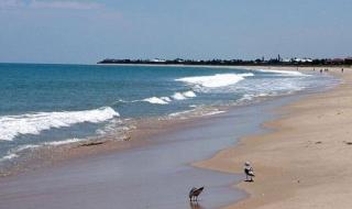 60 плажа остават без стопани по Южното Черноморие през лятото