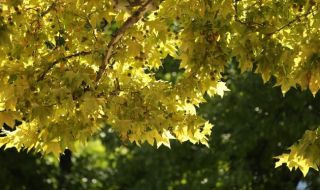 Затоплянето продължава