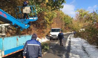 Раздават дървесината, събрана след бедствието във Варна