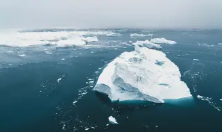 Откриха гигантски вируси в ледената покривка на Гренландия