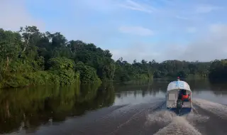 Construction of a road in the Amazon has accelerated the spread of the dengue virus 