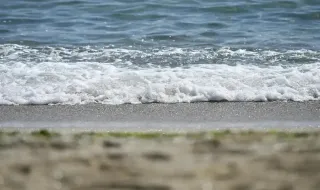 Проверяват Черно море за замърсяване след атаката с дронове