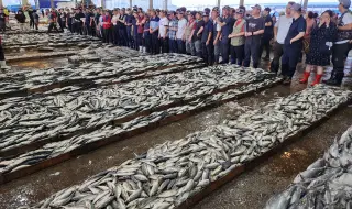 Китай отново отвори пазара си за морски продукти от Япония