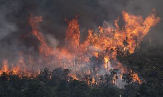 Пожар изпепели вили в Бургаско, има евакуирани