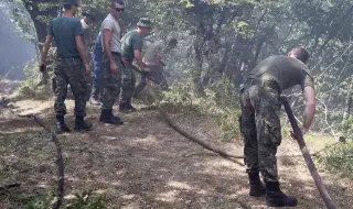Двама души са арестувани за умишлен палеж заради голям горски пожар в Албания
