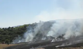 Голям пожар гори край Варна