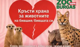 14 февруари в зоопарка в Бургас: Кръсти африкански червей на бившия и нахрани суриката Тимон