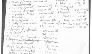 Елена Гунчева: Тулупи, още ли вярвате, че политиците сами ще дадат властта