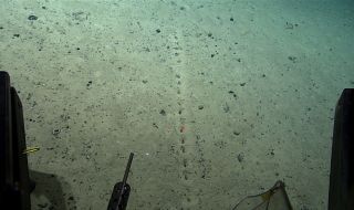 Мистериозно откритие на дъното на Атлантическия океан изуми изследователи (СНИМКИ)