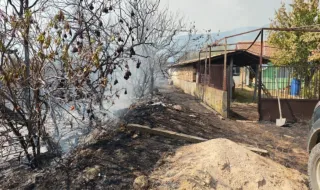 Large fire near the village of Dimovtsi is under control