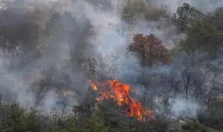Жители и власти в Турция водят борба с горски пожар в Измир
