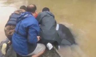 Жена бе извадена от кола секунди, преди да потъне (ВИДЕО)