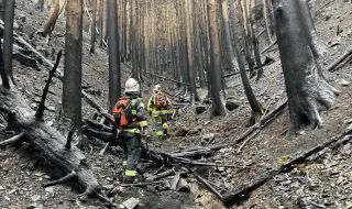 Japan's biggest forest fire in 50 years brought under control 