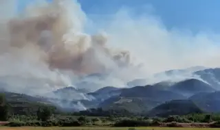 Пожарът в община Струмяни продължава да бушува
