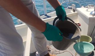 Басейнова дирекция – Варна: Черно море е чисто