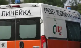 Домашно куче нахапа две момченца в Бургас