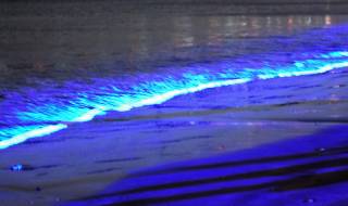 5 удивителни крайбрежия, които светят