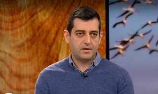 Николай Вълканов: Последната реколта осигури достатъчно храни за пазара