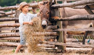 Притча: Къде се корени болката?