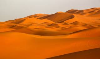 Пустинята Сахара - плод на човешкото влияние