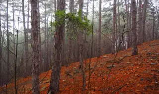 Today's weather, forecast for Wednesday, October 30: Clouds and rain in Central Bulgaria and Thrace, temperatures are fa