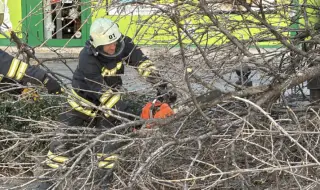 Бурните ветрове в няколко области нанесоха материални щети