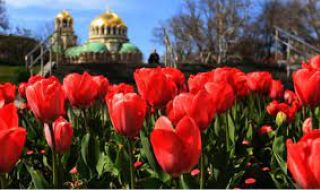 Цветница е! Празнуват пъстри имена