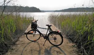 Хоби с реална стойност: Най-търсените продукти за свободното време в Bazar.bg