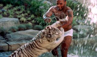 Тайсън шокира: Един от тигрите ми едва не уби жена!