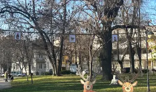 Картините на Сияна станаха част от коледната украса в Пловдив