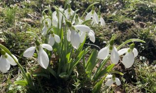 Прогноза за времето днес, 25 февруари: Ветровито, облачността се увеличава от запад