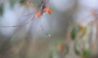 Времето днес, прогноза за вторник, 5 септември: Облачно и ветровито