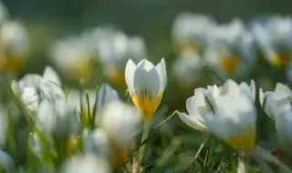 Времето днес, прогноза за четвъртък, 5 март: Дневните температури падат, валежи в Централна България