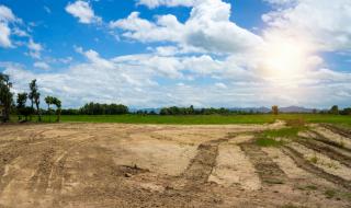 ОАЕ търсят да купят хиляди хектари земя в България