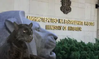 ВМРО: Трета седмица държавата не може да хване една полудива котка, но ще ни пази от бандитите. Е, как?