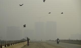 Мръсният въздух убива стотици хиляди деца годишно