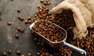 Площите за отглеждане на кафе ще намалеят наполовина заради климатичните промени