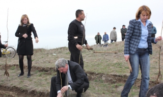 Започна залесителният сезон