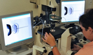 Откриха метод за лечение на мъжкия стерилитет