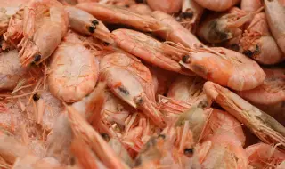 Скаридени такоси предизвикаха вълна от хранителни натравяния сред тенис елита в Мадрид